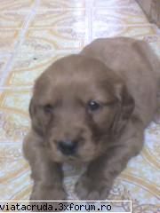:d my dog..... poze cu membri